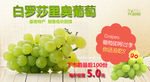淘宝葡萄海报banner
