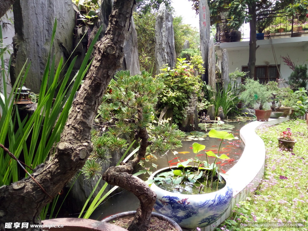 后庭小院