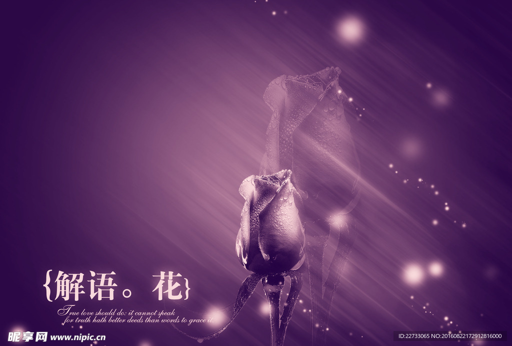 花语背景