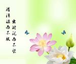 莲花