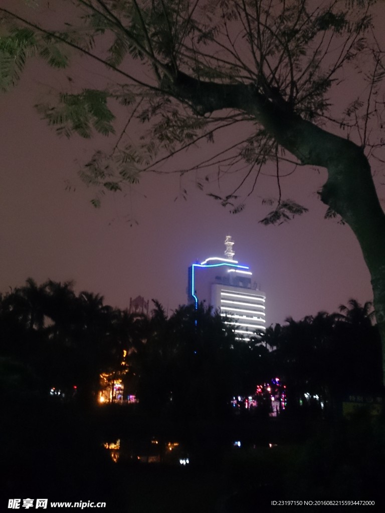 夜景