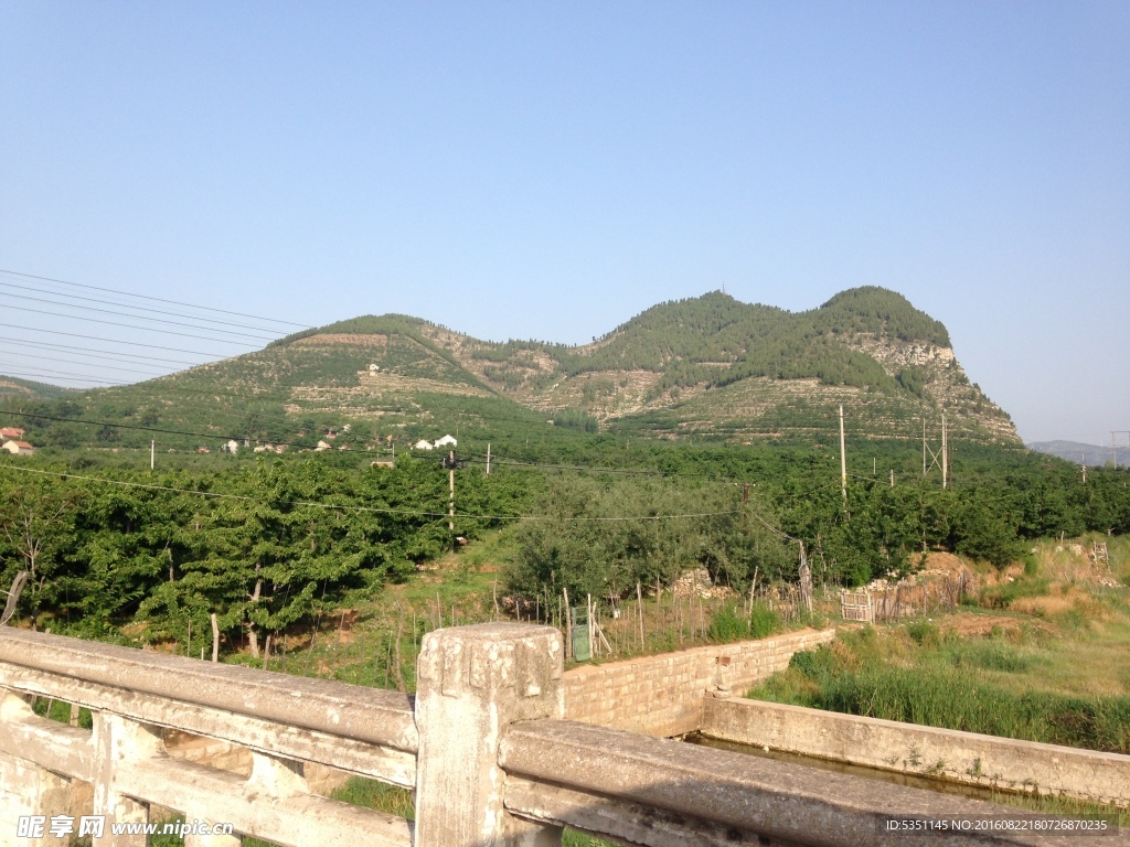 燕崖樱桃基地