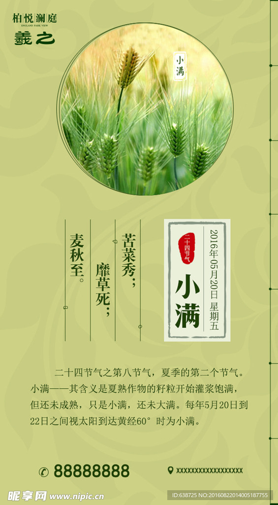 二十四节气之小满