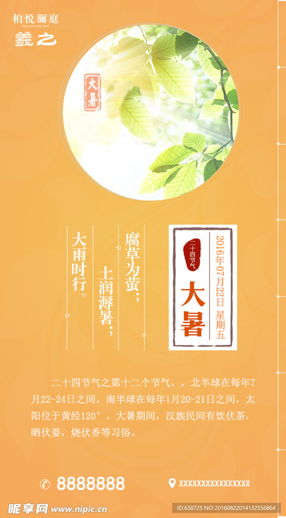 二十四节气之大暑
