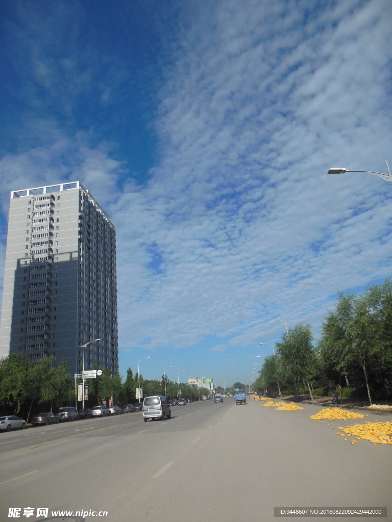 马路风景