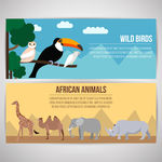 非洲动物和野生鸟类横幅