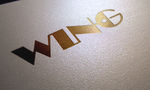 平面LOGO 展示样机