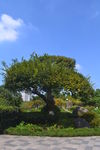 月湖公园