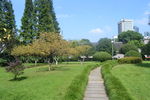 月湖公园