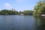 月湖
