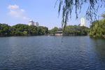 月湖