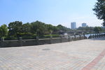 月湖居士林