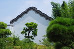 瘦西湖 风光