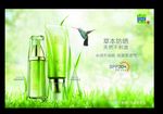 百雀羚新版海报