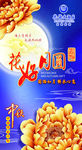 中秋  花好月圆