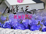 教师节