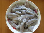 尤鱼