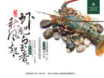 澳洲龙虾