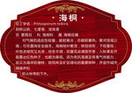 标牌  指示牌  花草牌