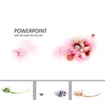 简约PPT   清新PPT