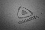 LOGO标志 效果展示样机