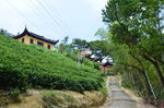北山登山步道