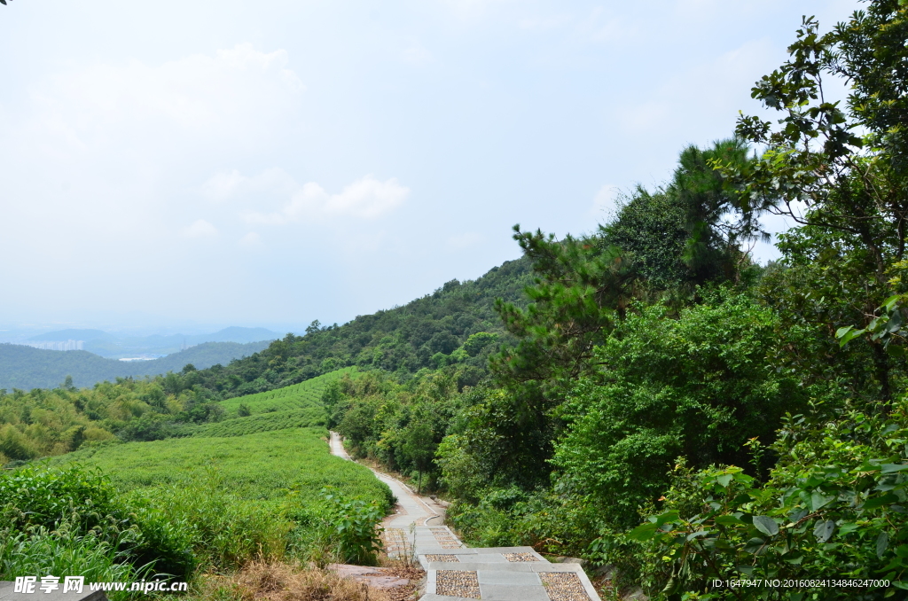 北山登山步道