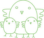 小鸡