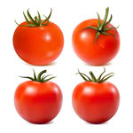 蔬菜 西红柿 番茄