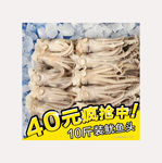鱿鱼头直通车图片
