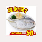鲳鱼直通车图片