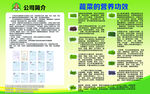 蔬菜公司简介