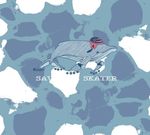 海豚