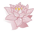 莲花