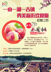 景区水蜜桃DM单
