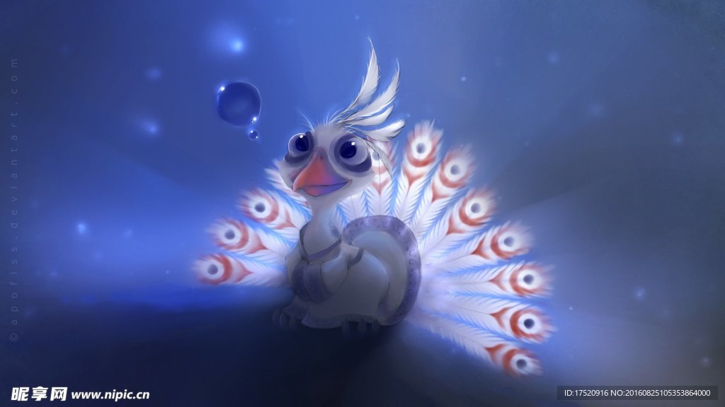 白孔雀