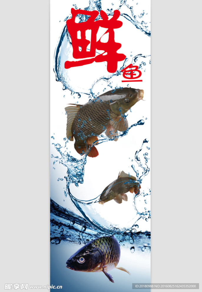 鲜鱼