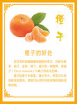 橙子展板