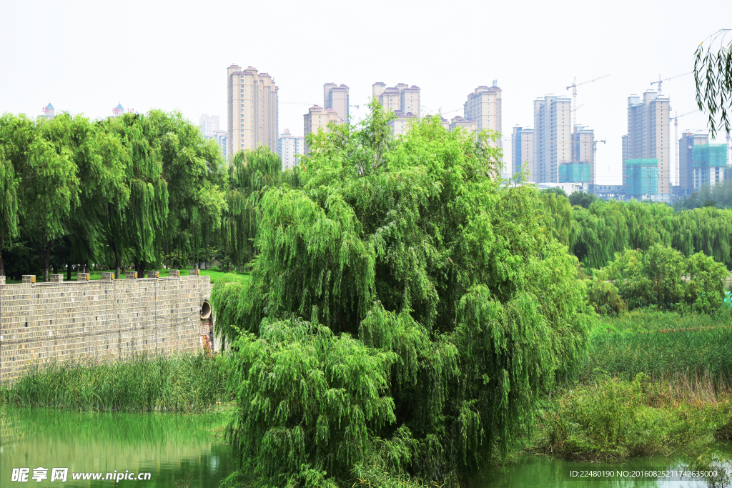 城市风景摄影图