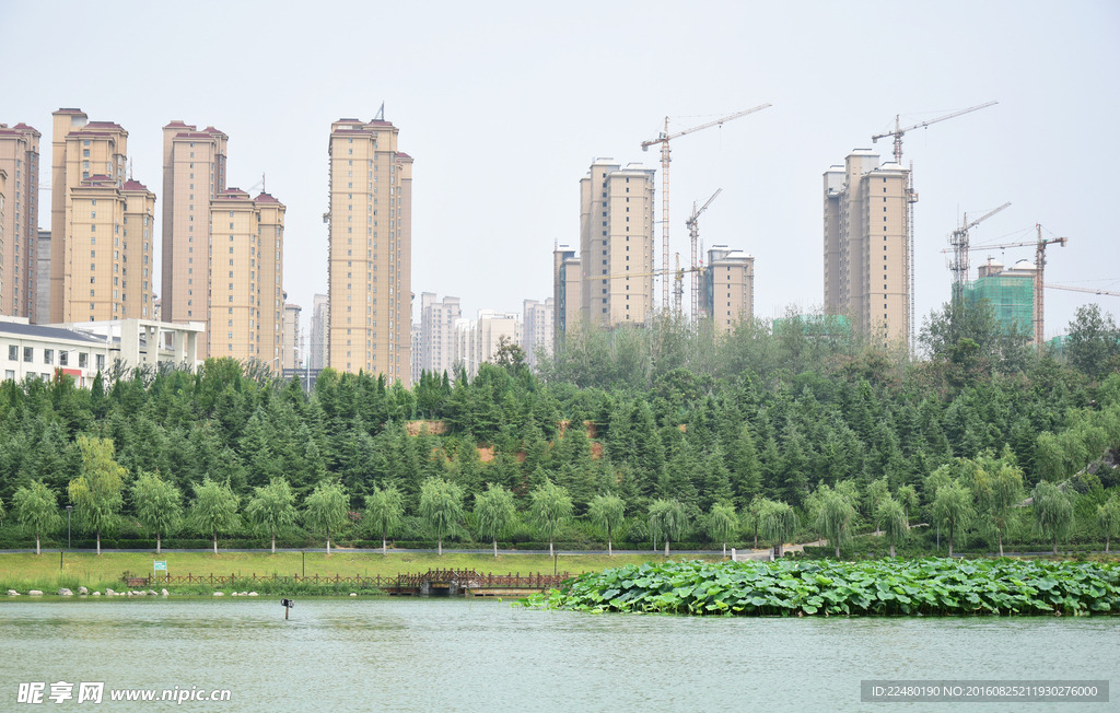 高楼大厦远景摄影