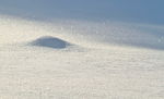 冬天雪地