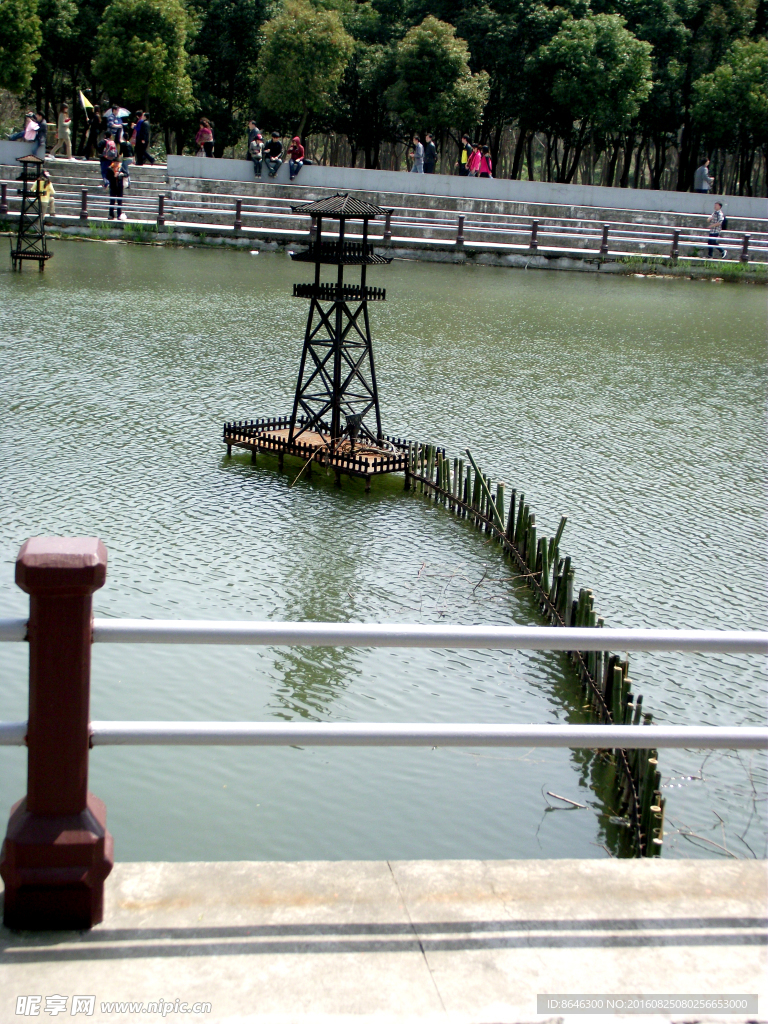 水景