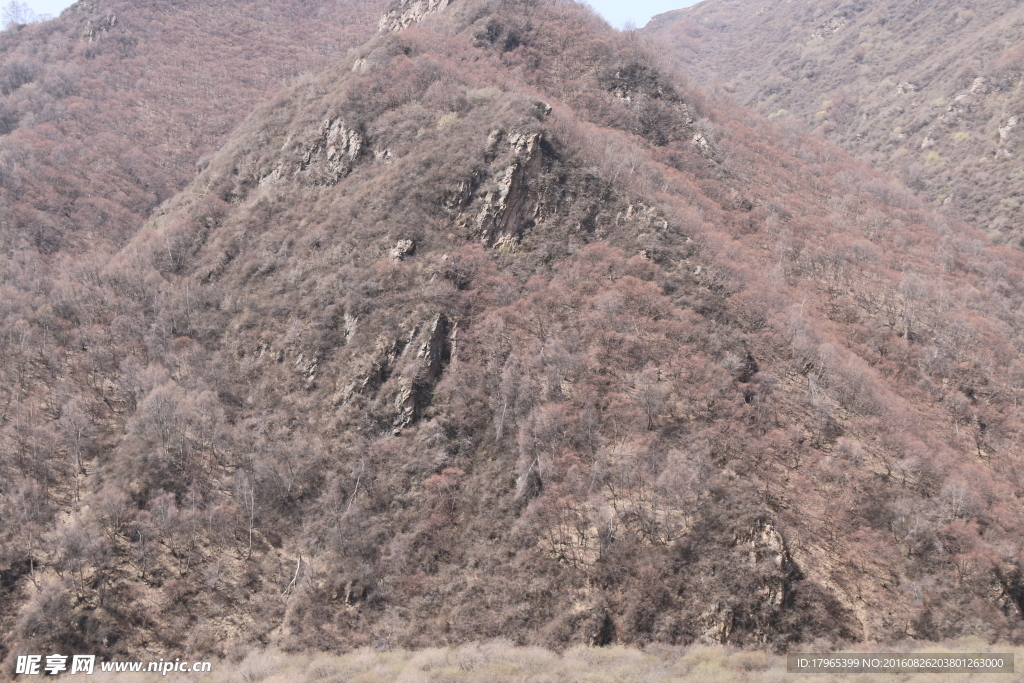荒山