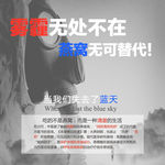 雾霾燕窝