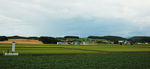 北海道 田野 春色