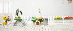 家居banner