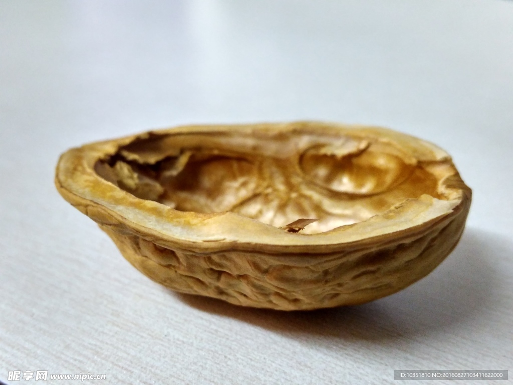 核桃壳