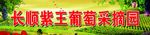 葡萄园