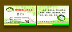 兔子批发名片