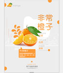 橙子海报